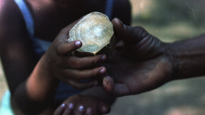 Two hands hold a shell together - one young hand and one old.