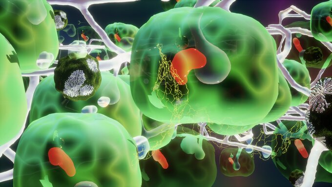 Still from the film Making-With by Gregory Herbert. Plant and fungi cells.