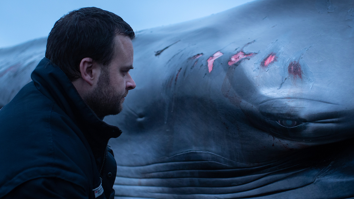 A man looks into the eye of a dying whale.