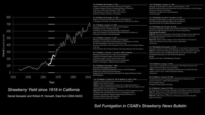 A graph illustrating linear growth sits next to a historical news bulletin on the right.