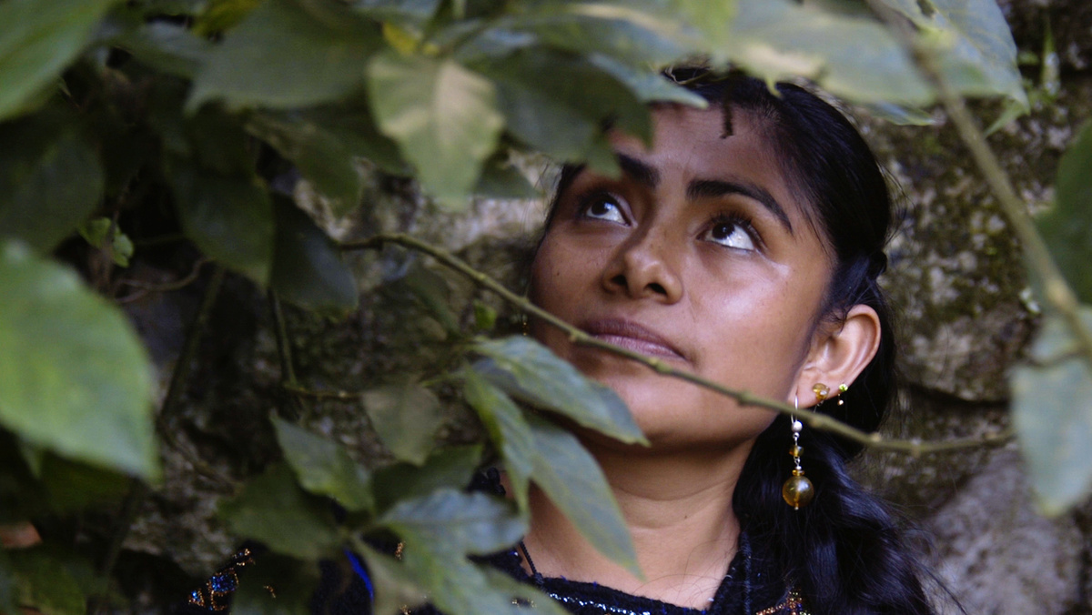 An Indigenous Mexican woman with brown skin, long black hair, and orange drop earrings is standing against a mossy rock.
