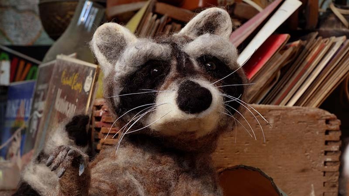 A felted raccoon with beady eyes lifts its paw up to point past the camera. Behind it is a pile of books and bric-a-brac