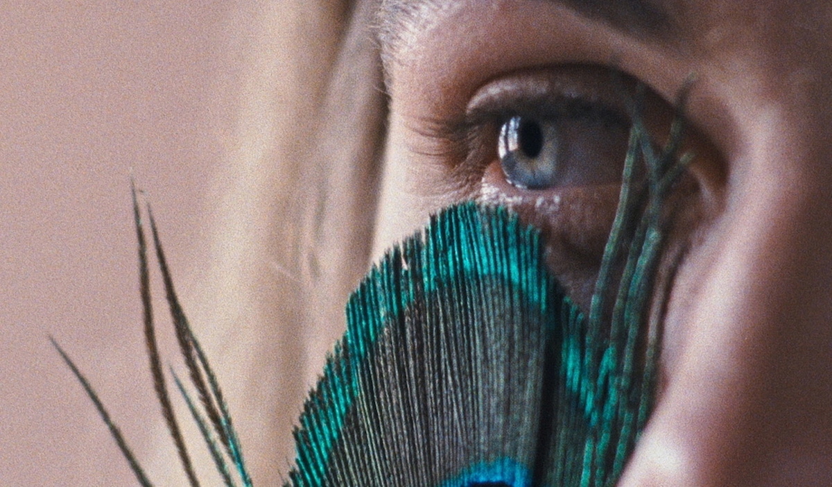A close-up shot of a woman's greyish-blue eye. She is holding what appears to be a peacock feather against her face.